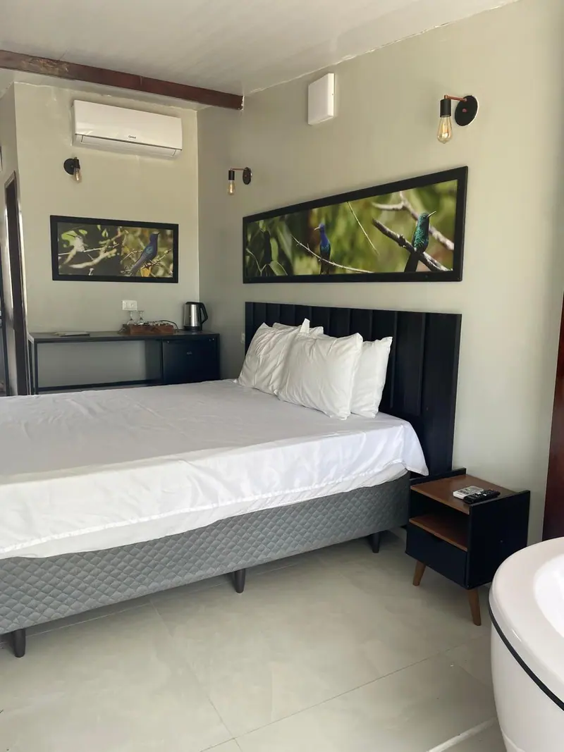 Cama com cabeceira escura, ar-condicionado e quadros de pássaros